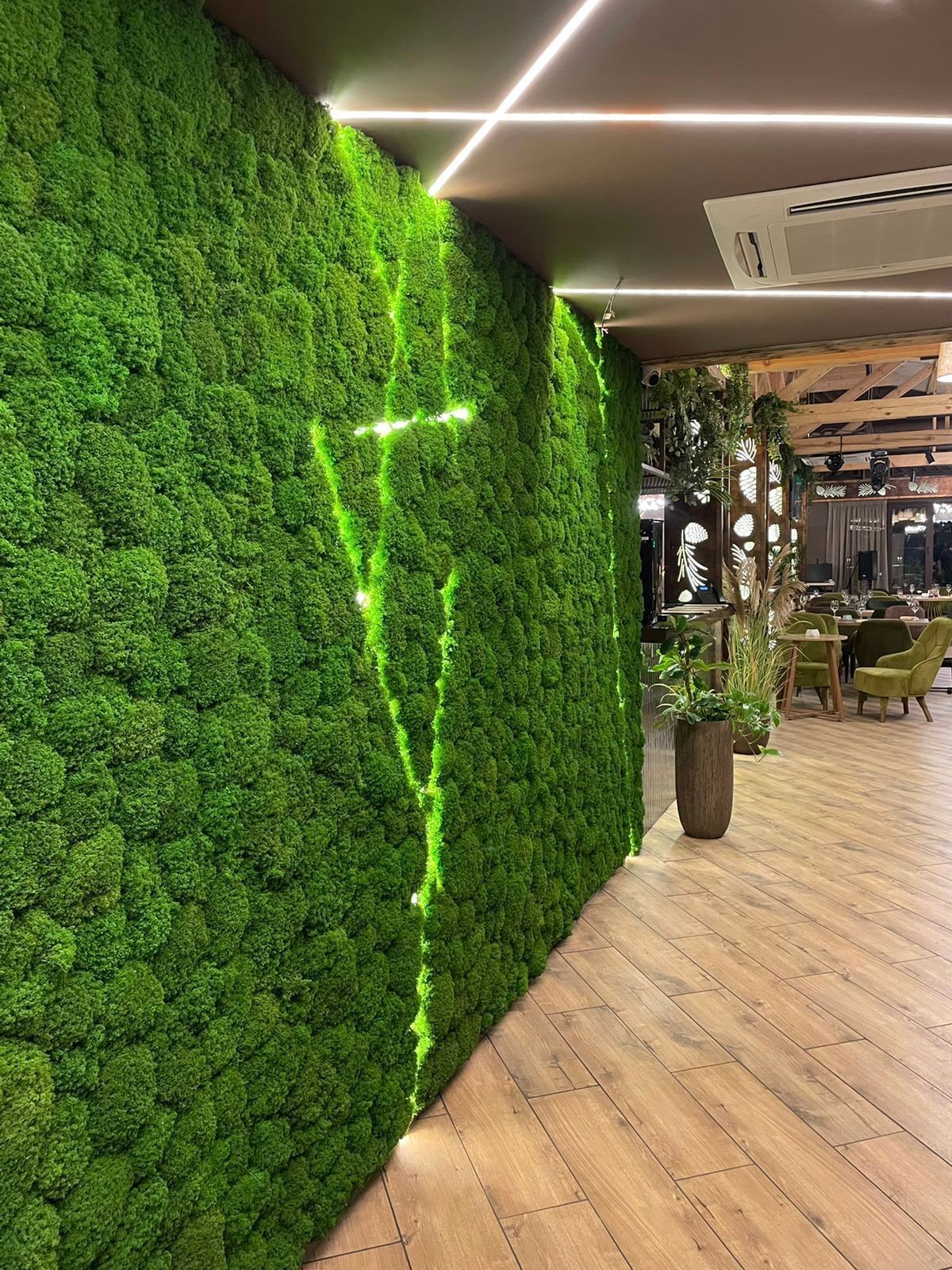 Modern indoor space with a lush green moss wall, wooden flooring, and overhead lighting.