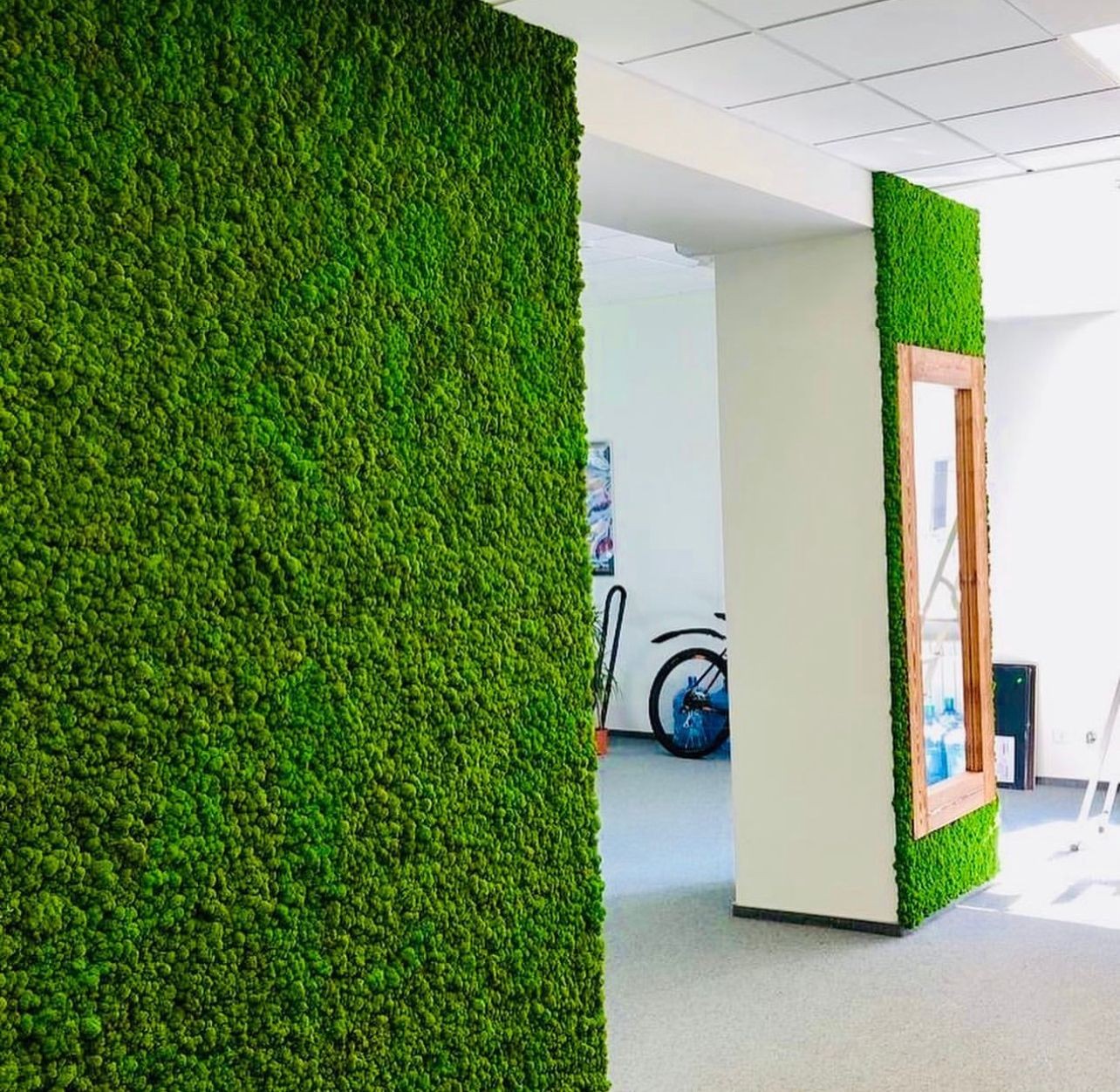 Interior of a room with walls covered in green moss and a bicycle visible in the background.